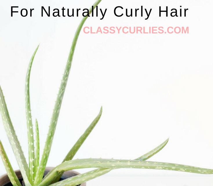 curly hair spray diy