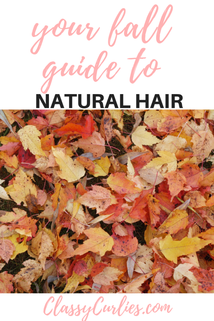 FALL-hair-guide-natural-hair-classycurlies-PIN