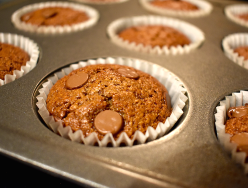 flourless blender muffins